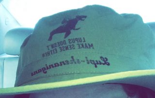 Lupus Campaign to Find the Cure