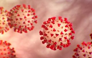 Coronavirus Receptors